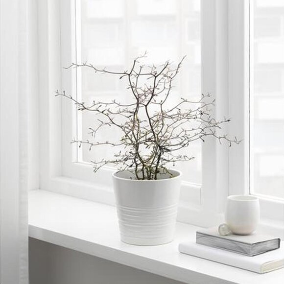 IKEA - MUSKOT Plant Pot = 15cm - Picture 3 of 14